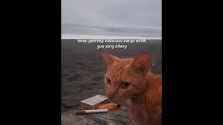 Download lagu STORY WA KEREN KATA KEKINIAN//STATUS WHATSAPP TERBARU 2022 #storywa#storywaviral#sultanstory mp3