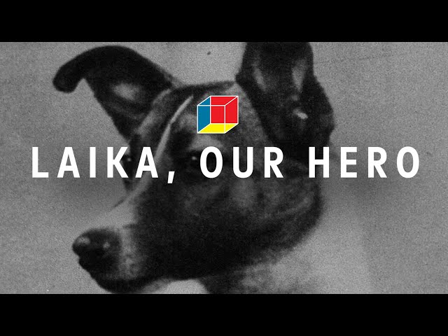 Video Pronunciation of laika in English