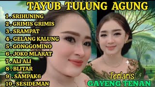 Download lagu GENDING JAWA TERLARIS TAYUB TULUNG AGUNG GAYENG BANGET KANGGE KONCO MAKARYO 💝🇮🇩 mp3