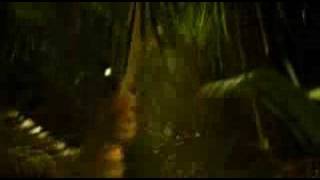 Lamont -  The Golden Daze