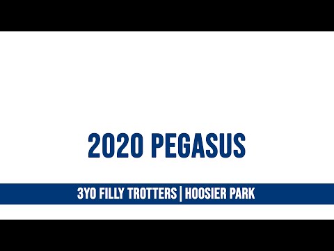 2020 Pegasus - Shisito - 3FT