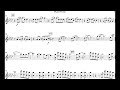 Firework By Katy Perry For Flute Or Violin To Play Along