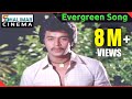 Evergreen Hit Song Of The Day Rani Ranamma Video Song Shalimarcinema Shlimarcinema