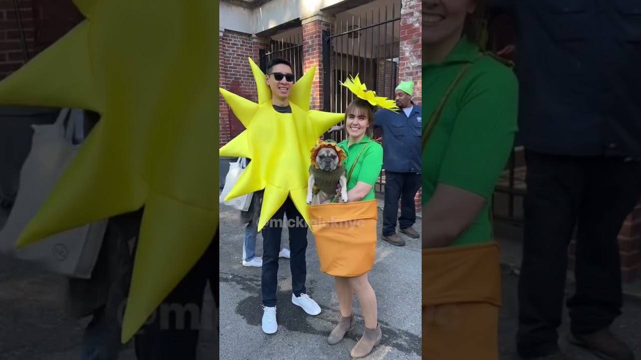 Best Dog Costumes at Tompkins Square Park NYC 🥁🐩