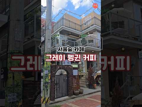 그레이펭귄커피 영상
