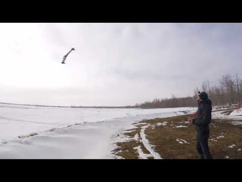 First hand launches TBS Caipirinha II