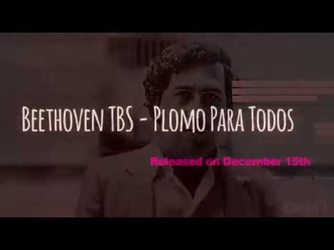 Beethoven TBS - Plomo Para Todos (Official Teaser)