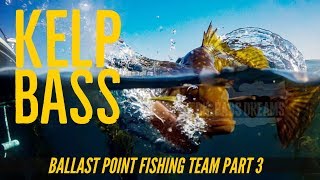 Ballast Point Brewery Fishing Team Part 3 - Kelp Bass at San Clemente Island