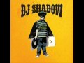 DJ Shadow - You Made It - TheMusicRevolution