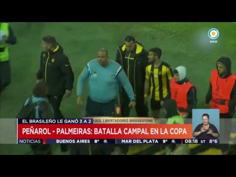 TV Pública Noticias - Copa Libertadores: Peñarol - Palmeiras, una batalla campal