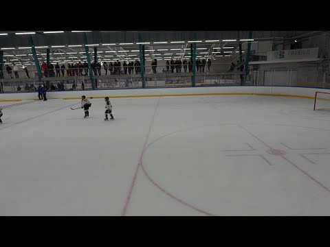 BJR09 Puumat - BJR09 Leijonat