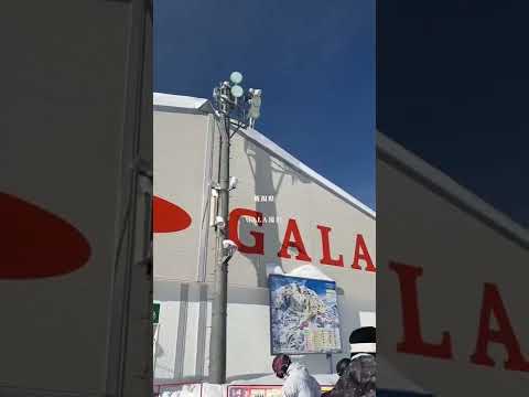 新幹線直結！雪がふわふわの絶景スキー場🏂❄️往復新幹線＋リフト券7800円〜