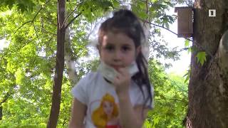 Երևան 06.06.2020