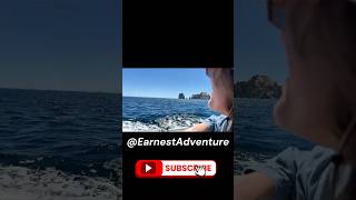 Check out our Navigator of the Seas Vlog!! #cruise #royalcaribbean #travel