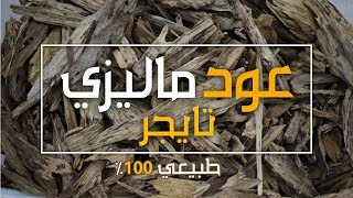 عود ماليزي تايجر | طبيعي مباشرة من الغاب