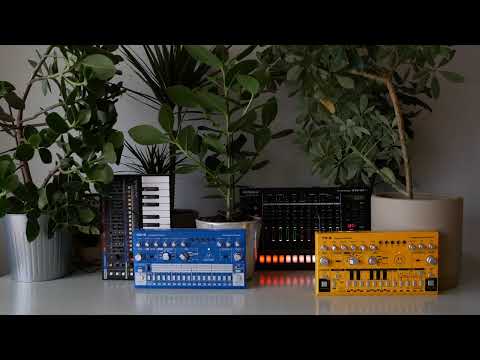Snot Monkey - Acid 071 (Behringer RD-6 TD-3, Roland TR-8S JU-06A) (Melodramatic acid)