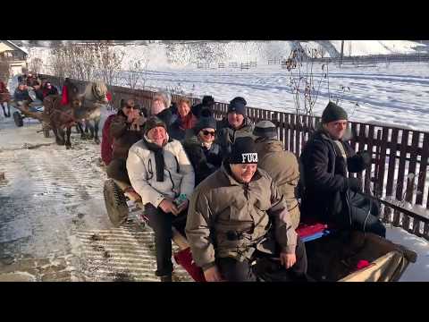 Cazare-Bucovina.com - Mersul cu carutele si pomana porcului la Pensiunea Perla Brazilor