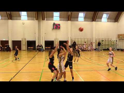 BT 1div etel HNMKY - Pantterit IV era