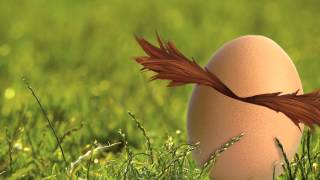 Sonic Lost World video thumbnail