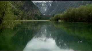 dargaard  | thy fleeing time