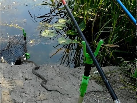 🇺🇦Цікавий випадок на рибалці