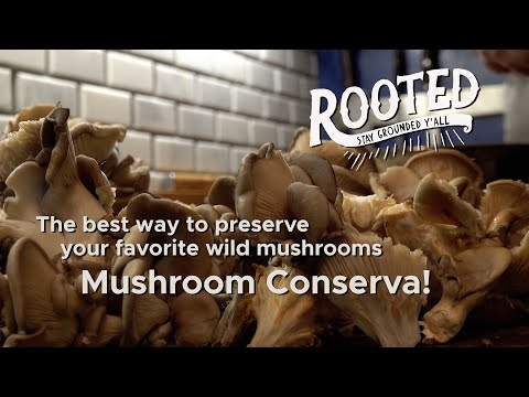 Mushroom Conservation! The best way to preserve your favorite wild mushrooms