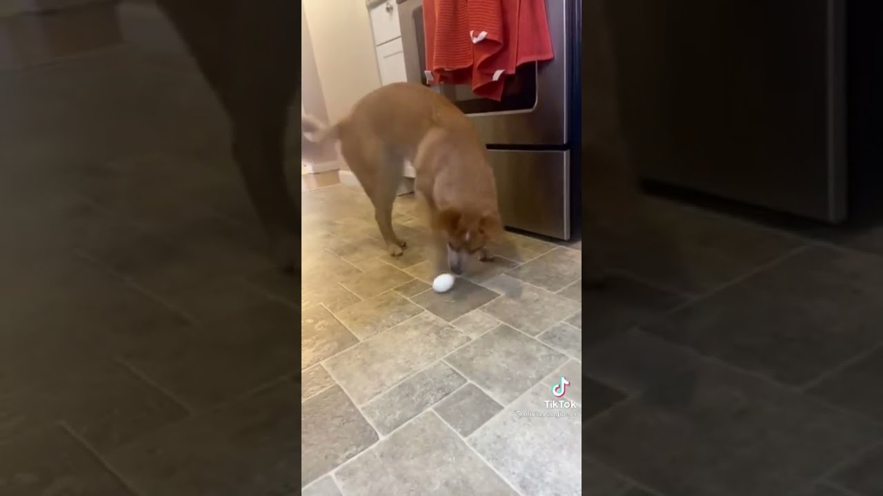 YouTube video preview