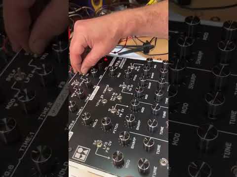 Soma Lyra-8 Noise Synth - Unique Custom Build image 9