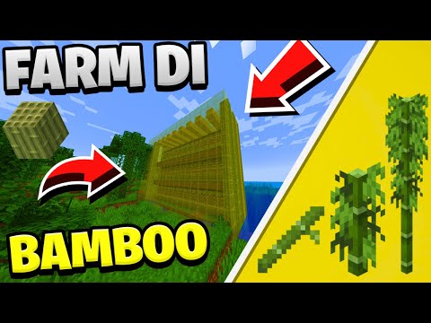 COME FARE UNA MEGA FARM DI BAMBOO! |MINECRAFT TUTORIAL 1.20| -MINECRAFT ITA