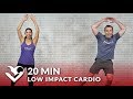 20 Minute Low Impact Standing Cardio Workout with No Jumping - 20 Min Standing Workout for Beginners