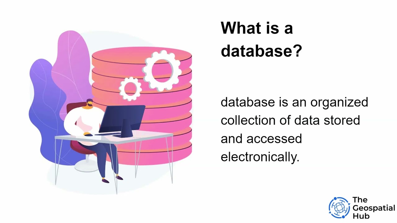 Databases and Database Management Systems