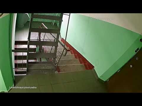 Тётка сыт в подъезде. Смотреть до конца.
