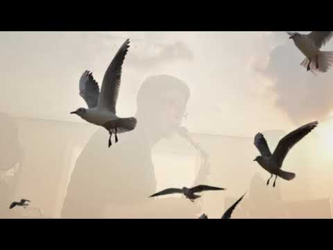 Alto Saxophone Youngheon An.  Blue Eyes Crying in the Rain- Olivia Newton-John