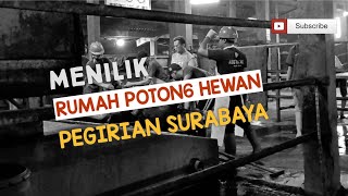 Download lagu MENILIK RUMAH P0T0N6 HEW4N PEGIRIAN SURABAYA 🏠🐄 mp3 Download lagu MENILIK RUMAH P0T0N6 HEW4N PEGIRIAN SURABAYA 🏠🐄 mp3