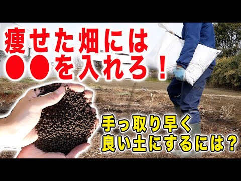 庭のメンテナンス – 庭の土壌を改善する自然な方法  庭園