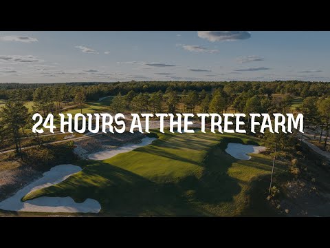 The Tree Farm: Our 24-Hour Experience at a LinksDAO Signature Event