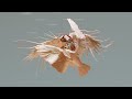 Thousand Below - Wrong Again (Official Visualizer)