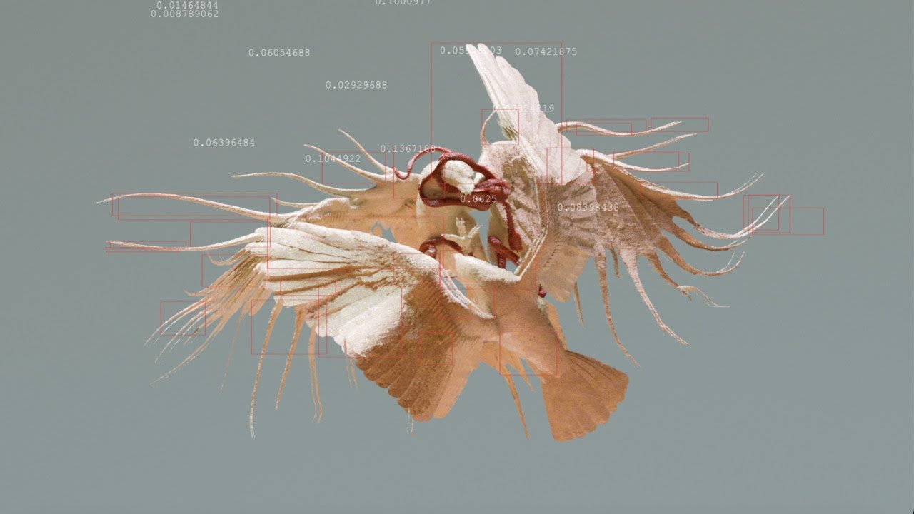 Thousand Below - Wrong Again (Official Visualizer)