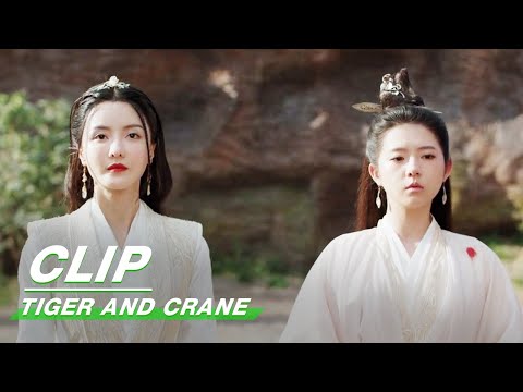 Yi Mei helped Bai Hu Regain his Human form | Tiger and Crane EP33 | 虎鹤妖师录 | iQIYI