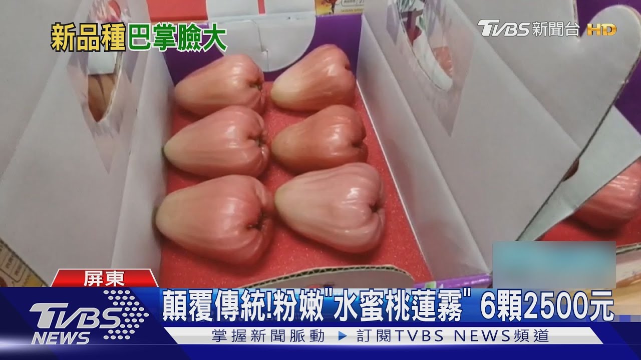 顛覆傳統印象!粉嫩「水蜜桃蓮霧」 6顆售價2500元