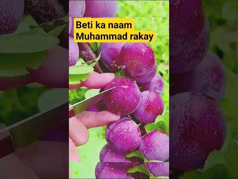 Bache ka naam muhammad rakhne ki fazeelat || jonid jamshed #youtubeshorts#