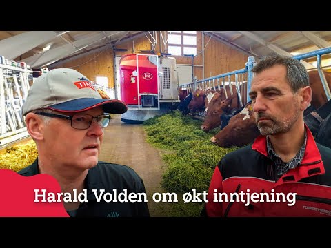 , title : 'Fôreffektivitet og økt inntjening på Skjefstad Gård, Toten'