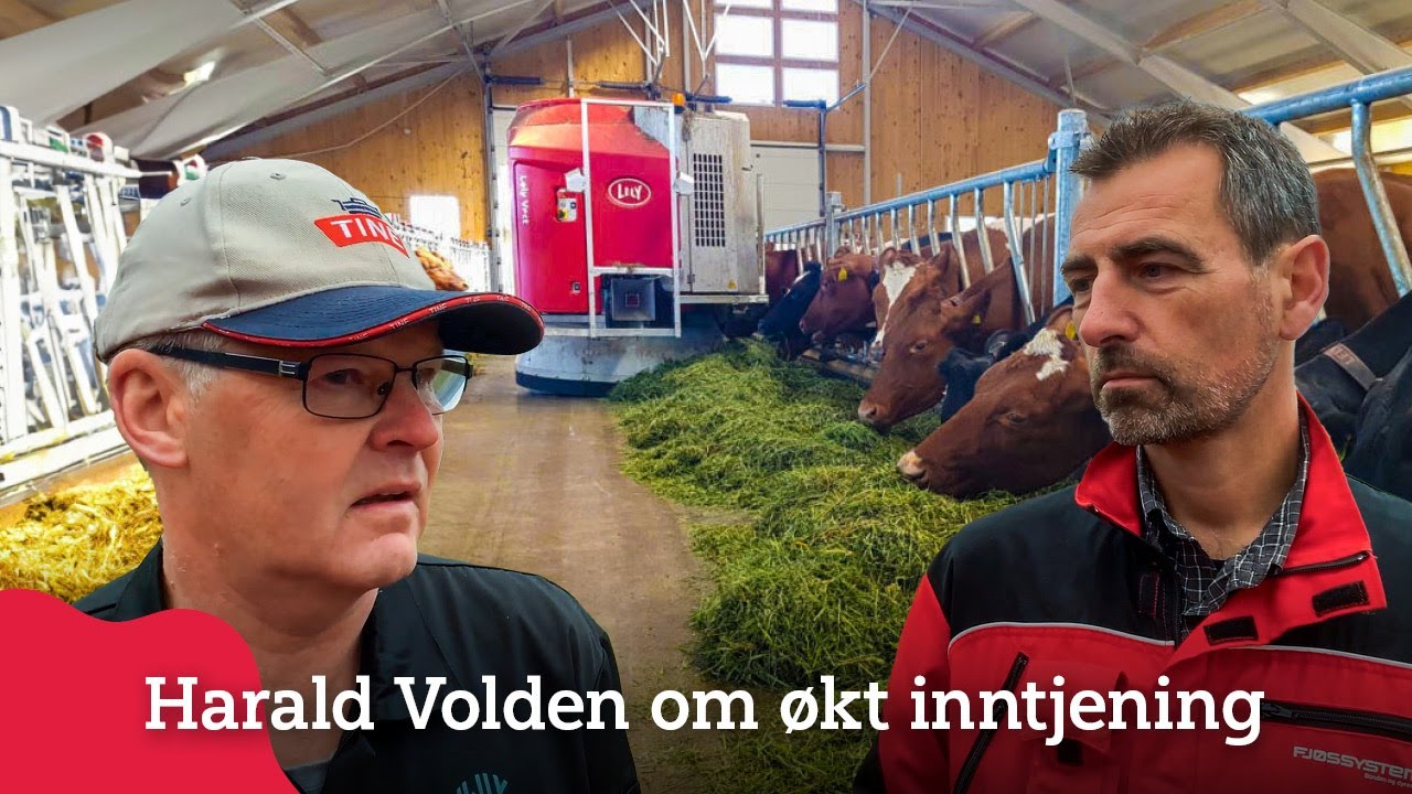 Smart fôring på Toten