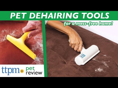 PET DE-HAIRING Tools Review | Fur Removal Tools for Picking Up Messy Pet Hair | (WE TESTED THEM ALL)