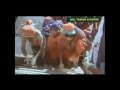Sabarikku Nigarana Malaiyum From Arul Tharum Ayyappan