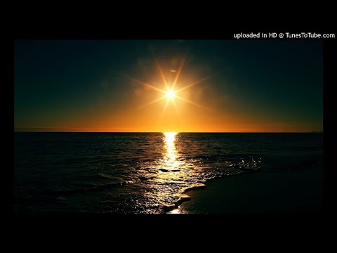 Mutt & Visionary - Lady Love