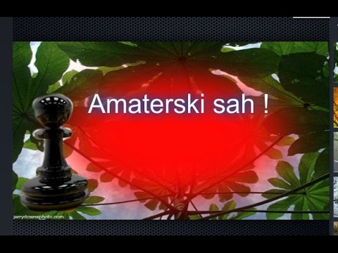 Amaterske šahovske partije  - ALEKSA STANKOVIĆ  # 971