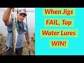 Shore Jigging: When Jigs Fail, Top Water Lures Win!