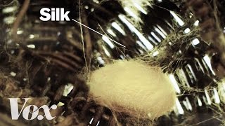 How silkworms make silk