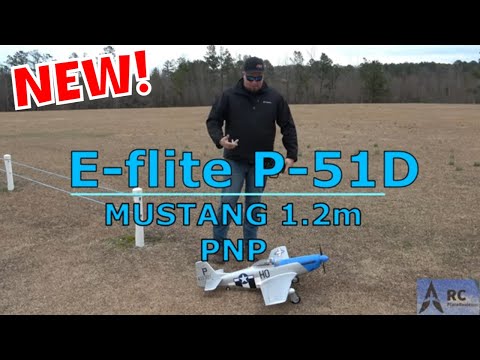 This Tiny Plane Packs a Punch: E-Flite P51D 1.2m Flight Review! #rc #plane #avation #aeroplane
